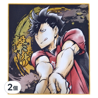 Haikyu 排球少年!! 激鬥!!閃亮色紙 黑尾鐵朗, 1色, 2個