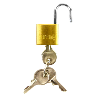 TRENY 高級銅掛鎖-20MM，堅固耐用，操作簡單，適用於行李箱、背包、儲物櫃, 1個