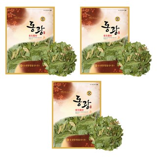 東光綜合物產 韓國產 竹葉 大竹葉, 600g, 3個