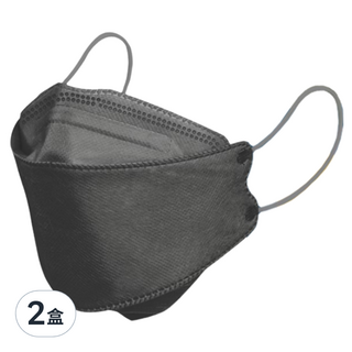 Charmed 昌明生技 成人立體口罩 KF94, 玄鐵灰, 10片, 2盒
