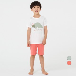 Lolly Tree 童款棉質恐龍印花短袖短褲套裝 劍龍款
