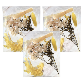 A-ONE 匯旺 浮游花DIY花材包 3包, 亮黃星輝 彩色