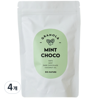 빅네이쳐 그래놀라 리필용 민트초코, 4개, 200g