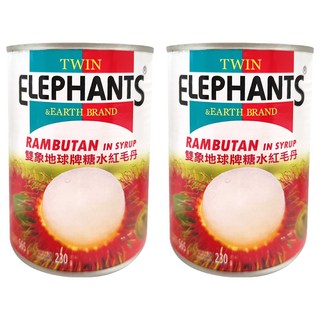 TWIN ELEPHANTS 雙象地球牌 糖水紅毛丹, 565g, 2罐