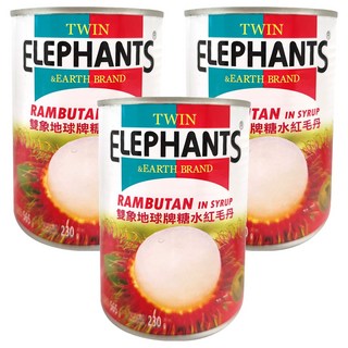 TWIN ELEPHANTS 雙象地球牌 糖水紅毛丹, 565g, 3罐