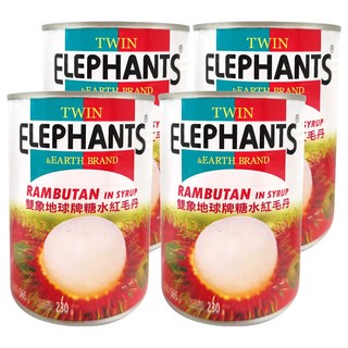 TWIN ELEPHANTS 雙象地球牌 糖水紅毛丹, 565g, 4罐