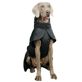 Paws Holic 狗狗快穿反光棉衣 黑色, 1件