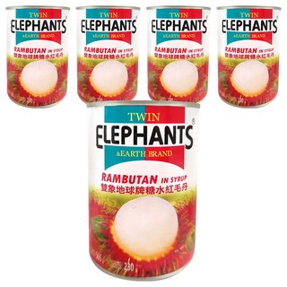 TWIN ELEPHANTS 雙象地球牌 糖水紅毛丹, 565g, 5罐