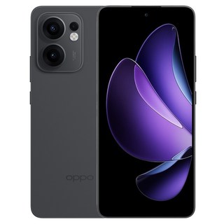 OPPO Reno13 F 5G 6.67吋 12GB 原廠保固, 256GB, 石墨灰