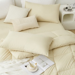 Aaron艾倫生活家 韓系純色石墨烯水洗被/冬被/棉被 單/雙人可用 2kg, 燕麥米