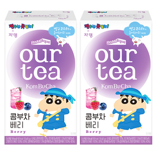 JARDIN our tea 康普茶沖泡粉 莓果口味, 5g, 10條, 2盒