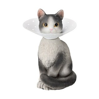 SETOCRAFT 貓咪飾品架, 賓士貓, 1個