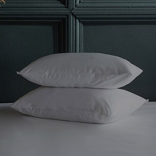 PROTECT-A-BED Moon Night舒眠防水枕頭套