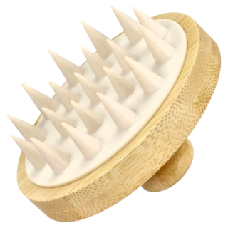 澳洲 lady jayne, 1支