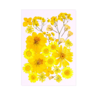 真花壓花包 Set DIY 組合包 7款花材共25片, 繁花似錦, 1包