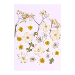 絲暮成雪 真花壓花包 量販包, 天然壓花DIY組合包, 多種顏色皆可挑選, 1包