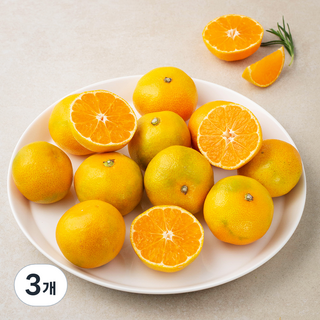 곰곰 당도선별 제주감귤, 1kg(로열과), 3개