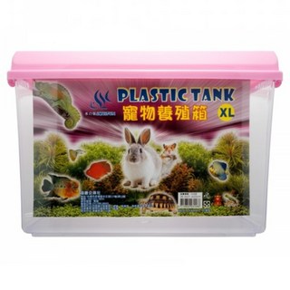 AQUAFUN 水之樂 寵物養殖箱, 顏色隨機, 1個, XL 36.3 x 21.3 x 22cm