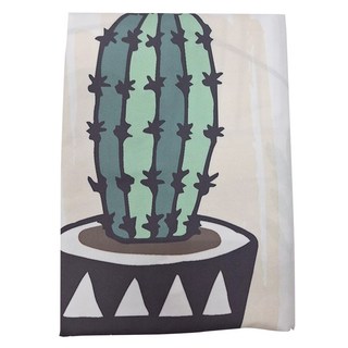 小銅板 掛布, 草本仙人掌