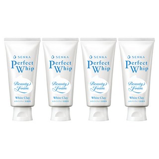SENKA 專科 超微米深層潔顏泥, 120g, 4條