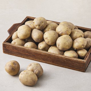 국내산 감자, 5kg(중), 1개