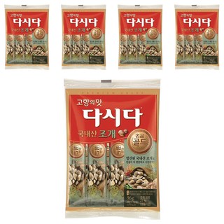 Dasida 名品黃金貝殼, 96g, 5個