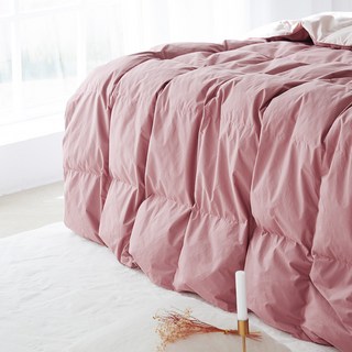 La Pomme O'paulet 純棉鵝絨被 四季款, 乾枯玫瑰