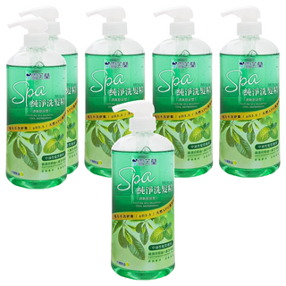 雪芙蘭 SPA 純淨清新舒涼洗髮精, 無矽靈, 天然APG潔淨成分, pH5.5, 添加薄荷精油 + 綠茶萃取, 650g, 6瓶