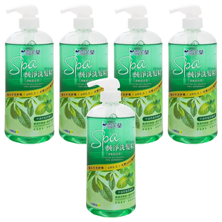 雪芙蘭 SPA 純淨清新舒涼洗髮精, 無矽靈, 天然APG潔淨成分, pH5.5, 添加薄荷精油 + 綠茶萃取, 650g, 5瓶