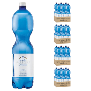 FONTE ALLEGRA 亞莉佳 氣泡礦泉水, 1.5L, 24瓶