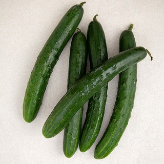 취청오이, 5개입, 1개