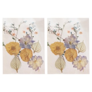 A-ONE 真花壓花 中花包 AA10 14.5 x 10.5cm 2個, 紫花異草