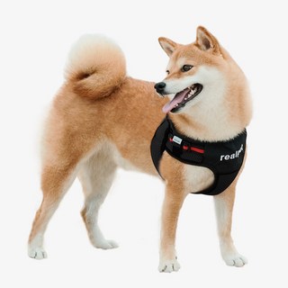 RealPet 運動背心式胸背帶, 黑色