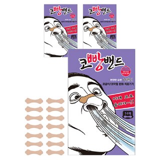 코빵밴드 라벤더 14p, 3개