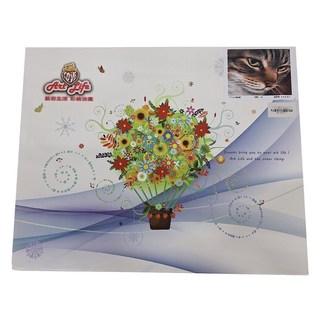 ArtLife 藝術生活 數字油畫DIY DT143 50 x 40cm, 神秘眼, 1組