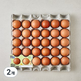 무항생제 동물복지 인증 유정란, 2개, 30구