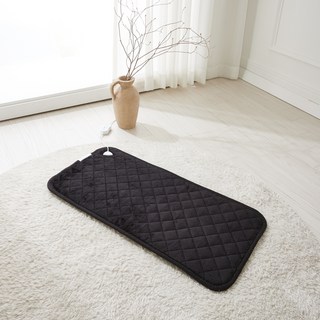 더안 논슬립 극세사 쇼파 조절기 일체형 2인용 전기방석 DHB-2024, 블랙, 45 x 90 cm