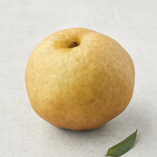 곰곰 국내산 배 (햇), 550g, 1개