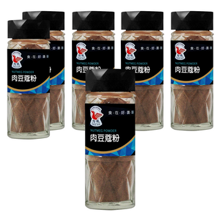 飛馬 肉豆蔻粉 特殊研磨工法 保留原料香氣 味道溫和不嗆鼻 多層次風味, 40g, 6瓶
