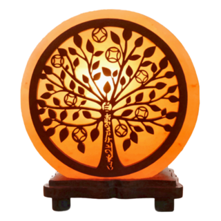 命運好好玩 八方生財樹鹽燈 古銅錢葉脈 自然玫瑰鹽礦 客廳店面擺放, 八方生財樹