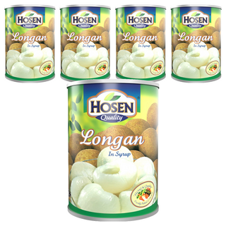 HOSEN 龍眼罐頭 糖水浸龍眼, 565g, 5罐