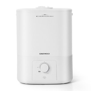 대우어플라이언스 간편세척 초음파 듀얼 노즐 가습기, DEH-X1000, 화이트