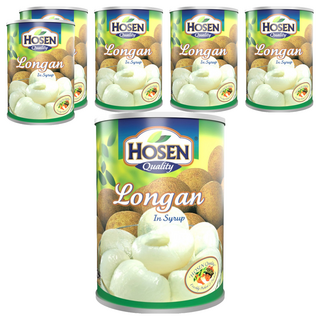 HOSEN 龍眼罐頭 糖水浸龍眼, 565g, 6罐