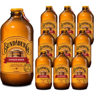 분다버그 진저비어, 375ml, 10개