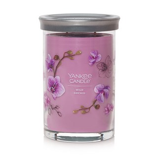 YANKee CANDLe 經典玻璃罐香氛蠟燭, 野生蘭花, 567g, 1個