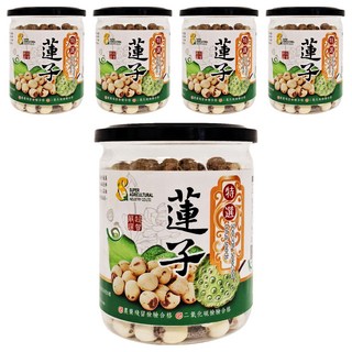 超賀 特選蓮子 營養豐富 口感香醇 甘甜可口, 230g, 5罐