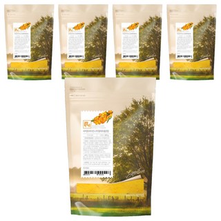 감성먹거리 비타민나무열매추출분말, 5개, 200g