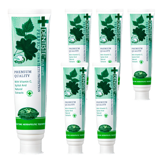 덴티스테 플러스 화이트 치약, 160g, 6개