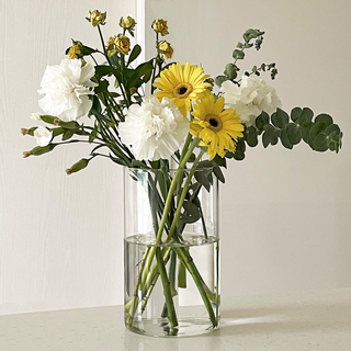 PLENO 圓形水耕玻璃花瓶, 透明