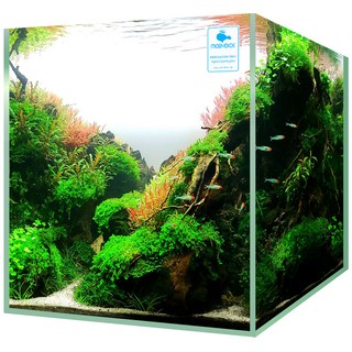 MOBYDICK 玻璃魚缸, 單色, 1個